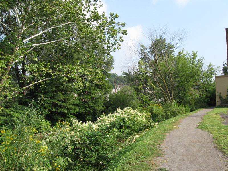 Nature Trail