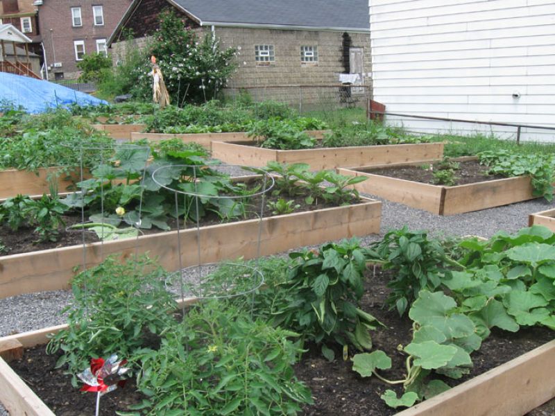 Community Garden