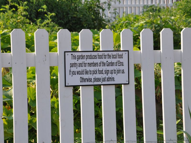 Community Garden